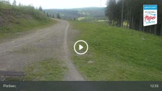Plešivec